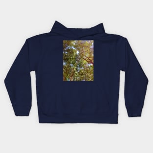 trees in the forest Kids Hoodie